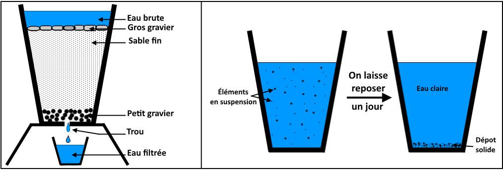 svt bac maroc