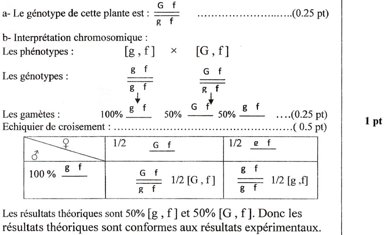 svt bac maroc