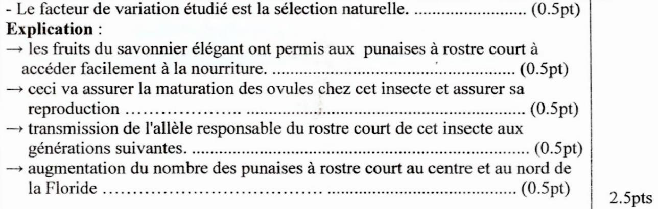 svt bac maroc