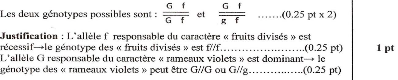 svt bac maroc