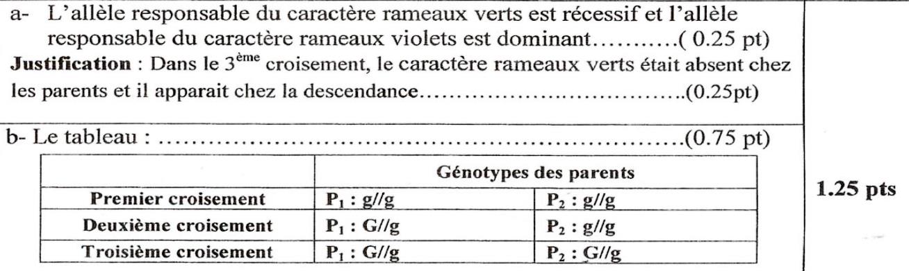 svt bac maroc