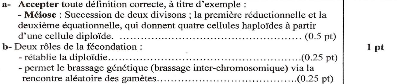 svt bac maroc