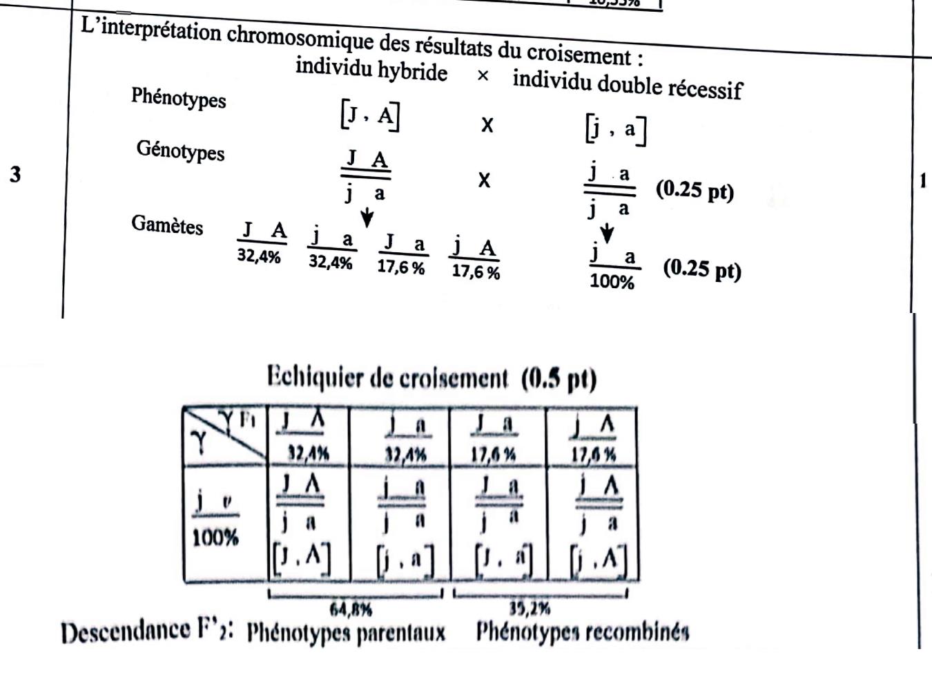svt bac maroc