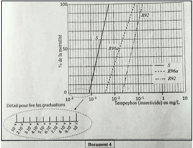 svt bac maroc