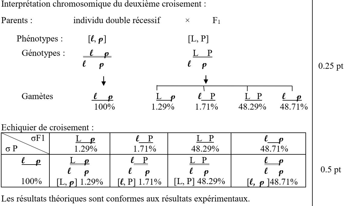 svt bac maroc