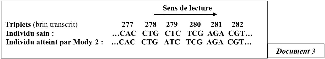 svt bac maroc