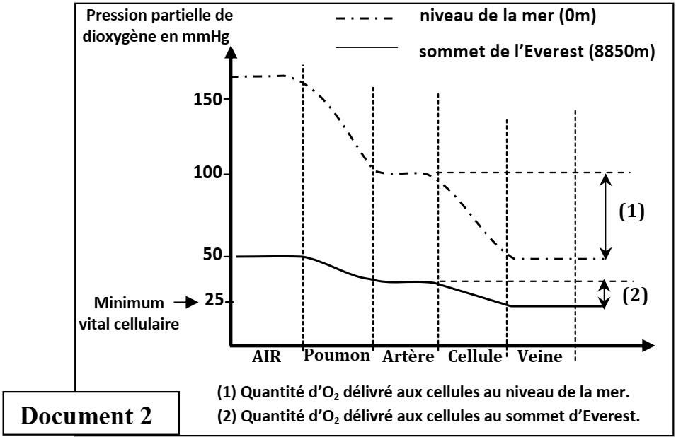 svt bac maroc