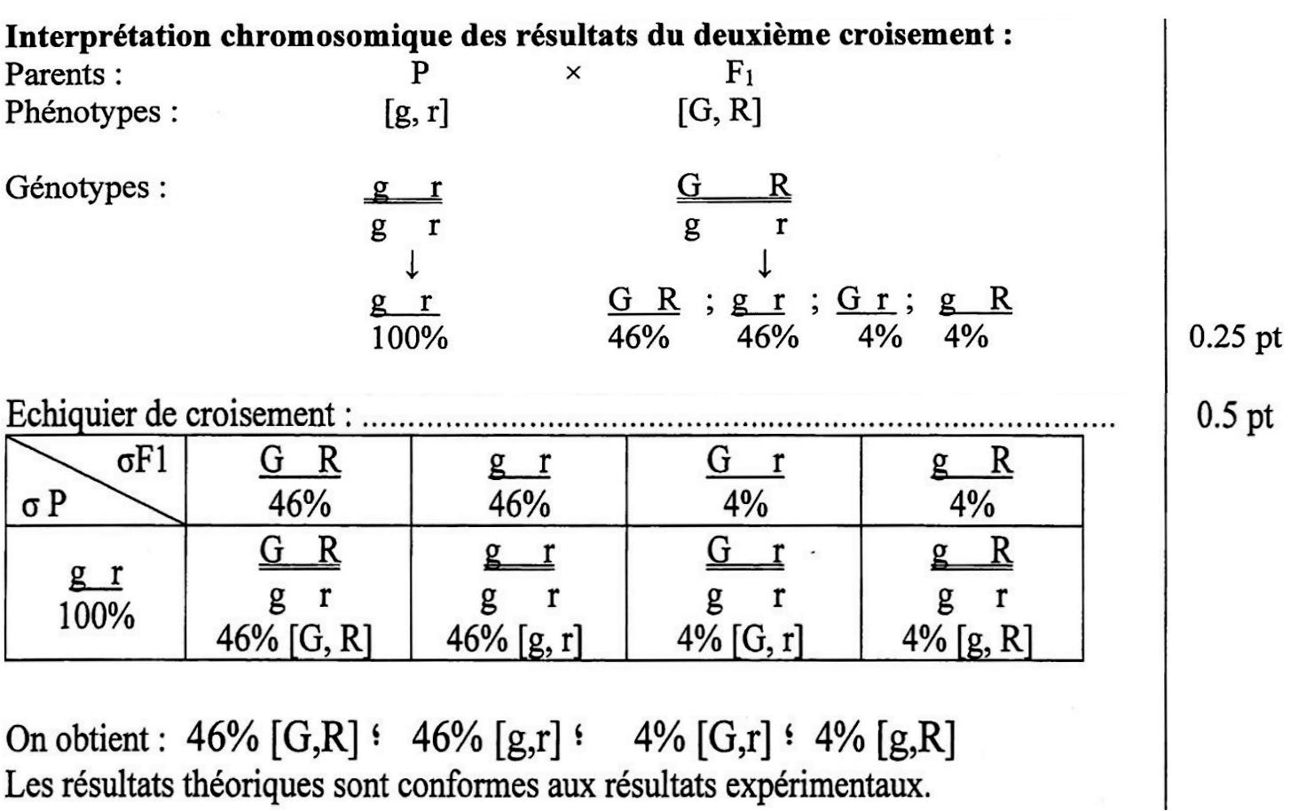 svt bac maroc
