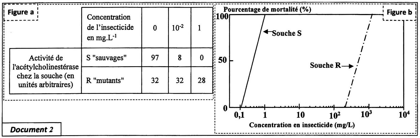 svt bac maroc