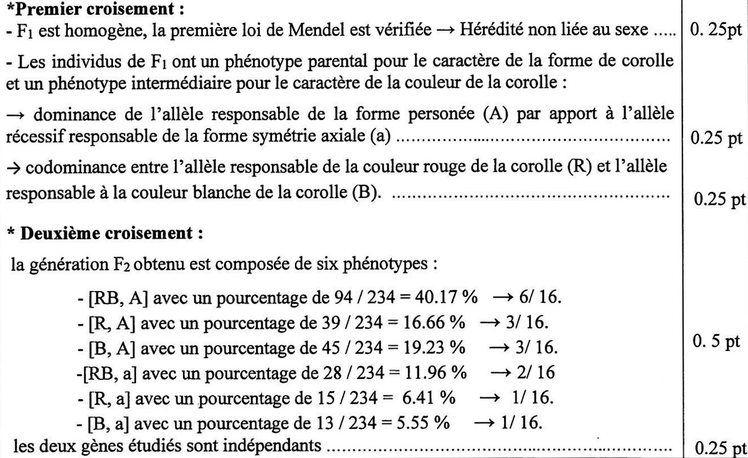 svt bac maroc