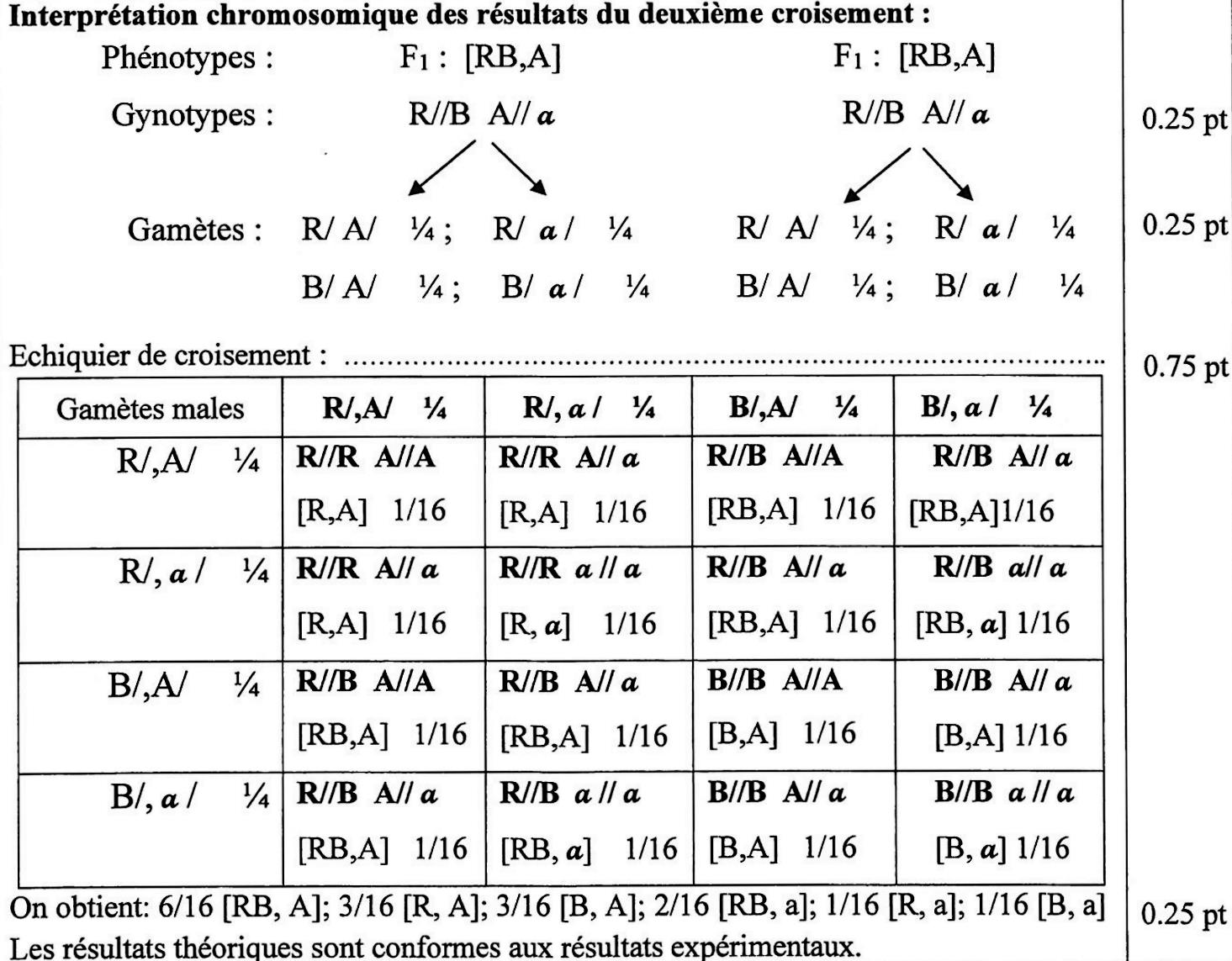 svt bac maroc