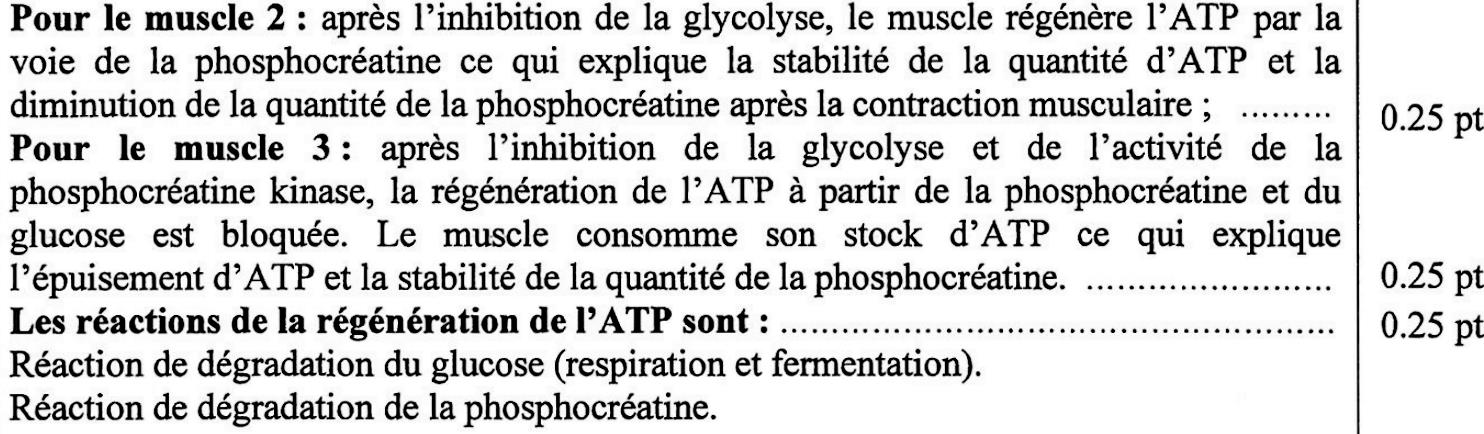 svt bac maroc