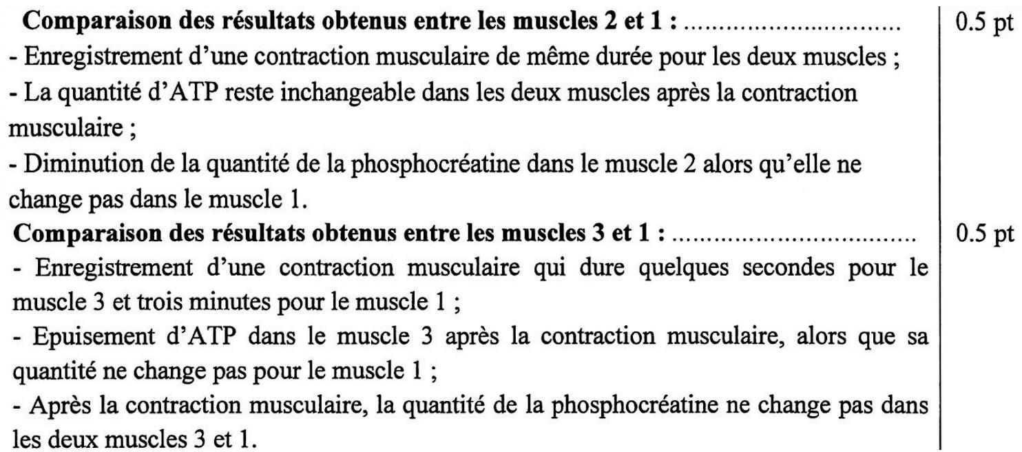 svt bac maroc