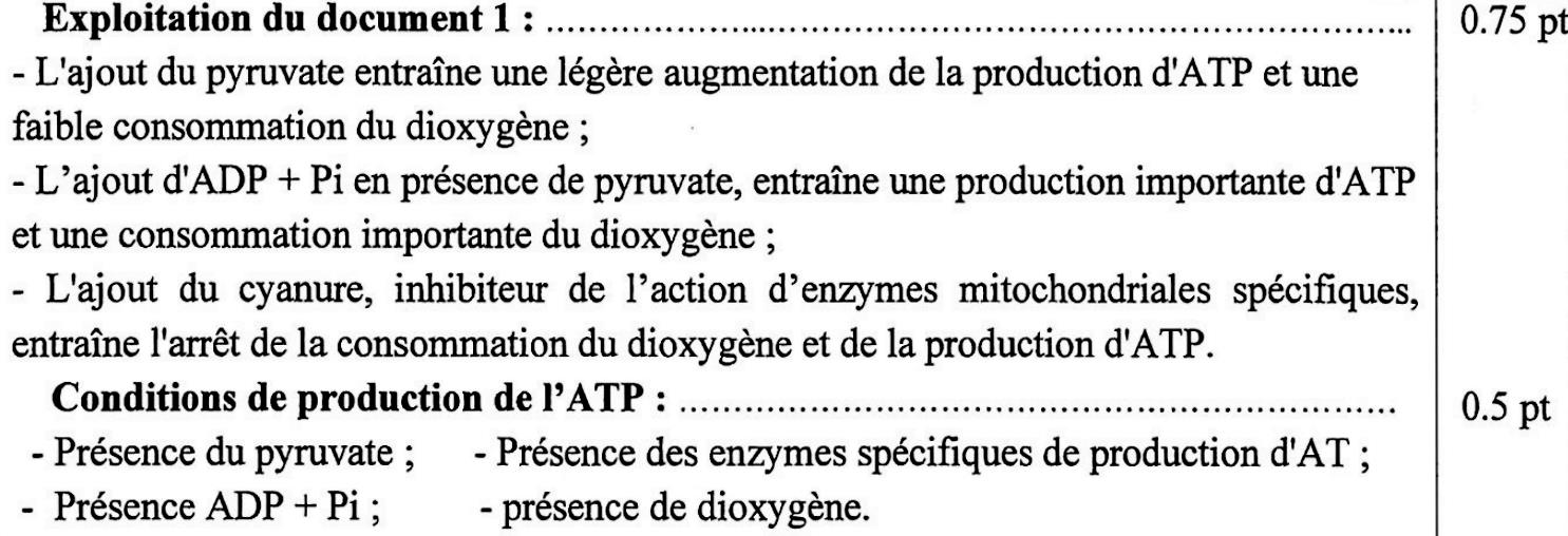 svt bac maroc