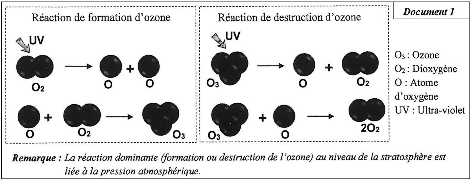 svt bac maroc