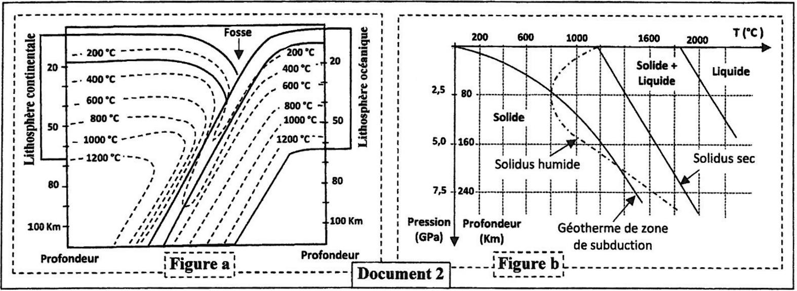 svt bac maroc