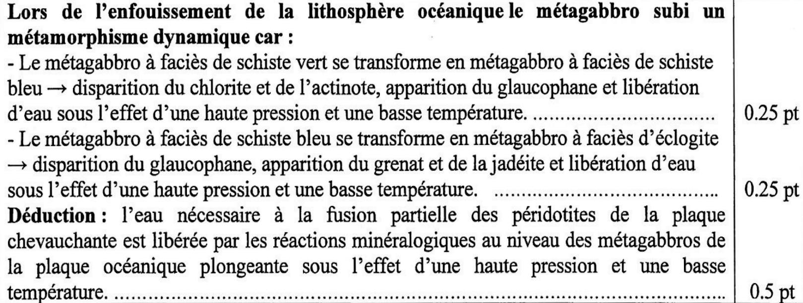 svt bac maroc