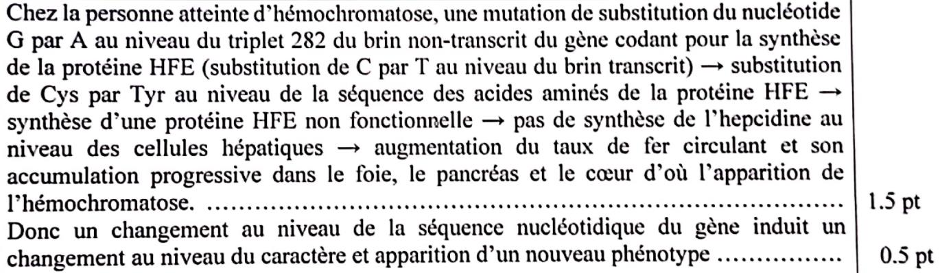 svt bac maroc