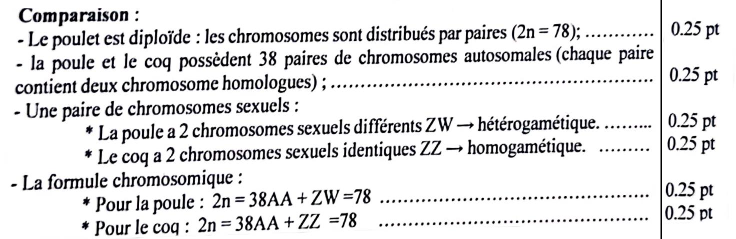 svt bac maroc
