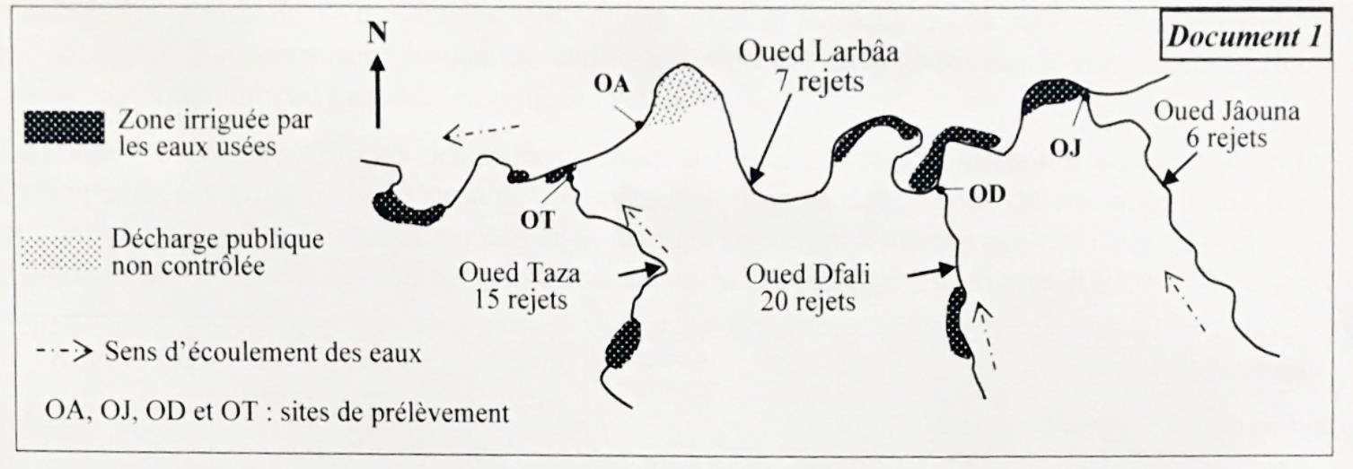svt bac maroc