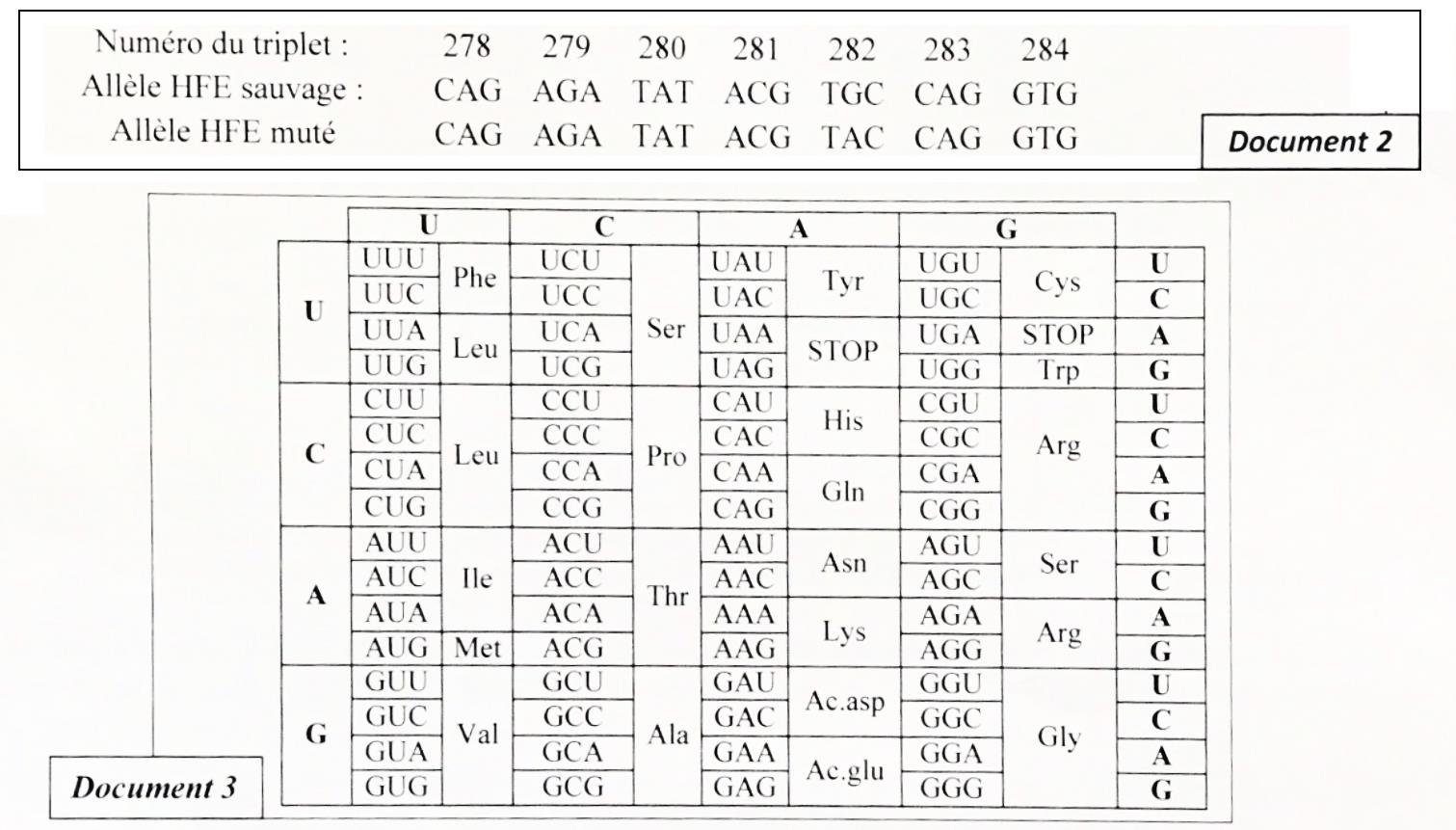 svt bac maroc