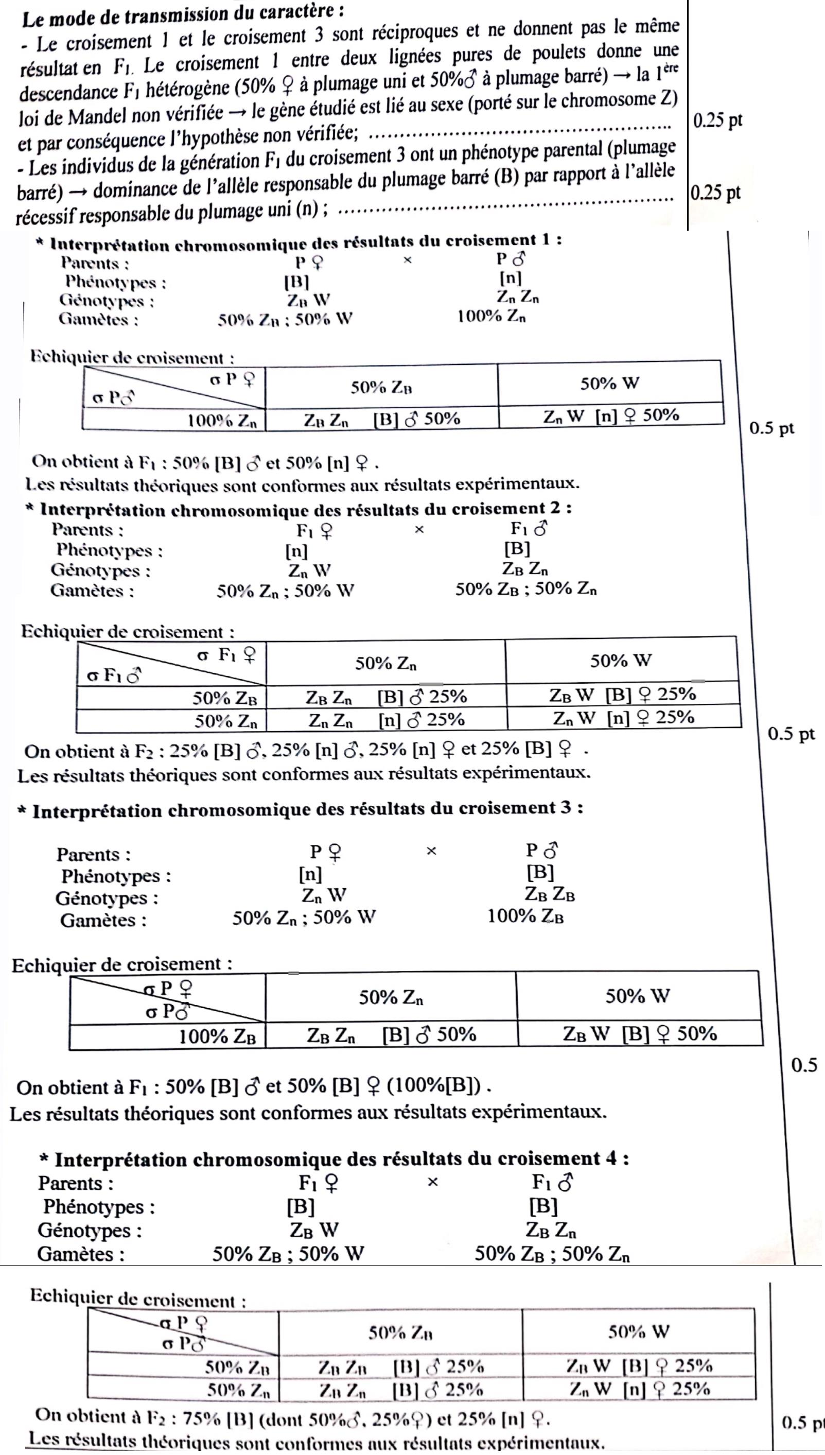 svt bac maroc