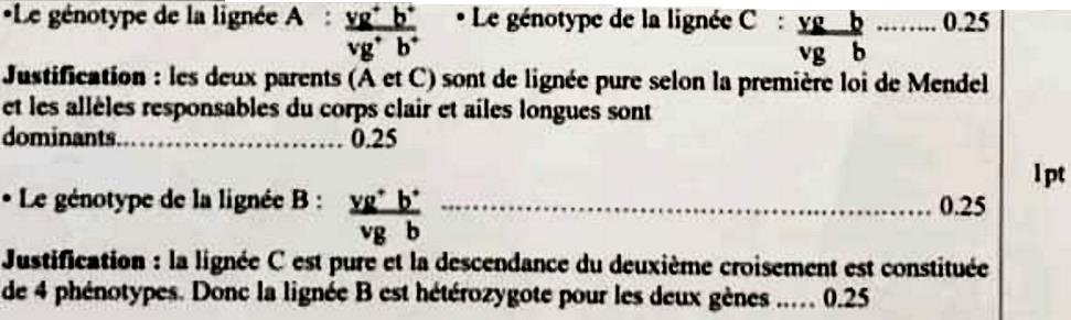 svt bac maroc