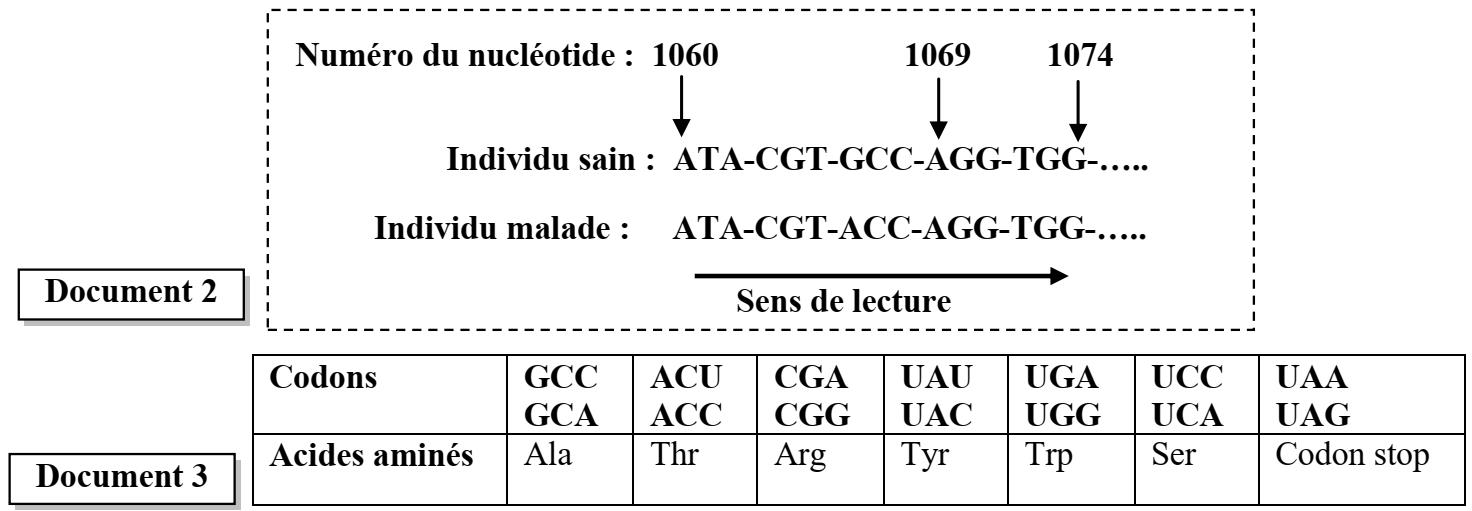 SVT exam
