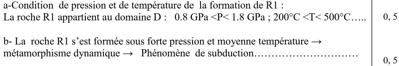 svt bac maroc
