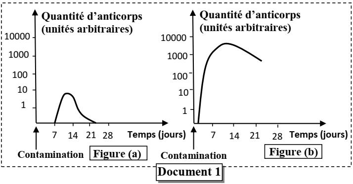 svt bac maroc