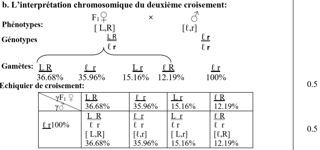 svt bac maroc