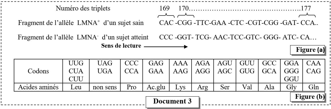 svt bac maroc