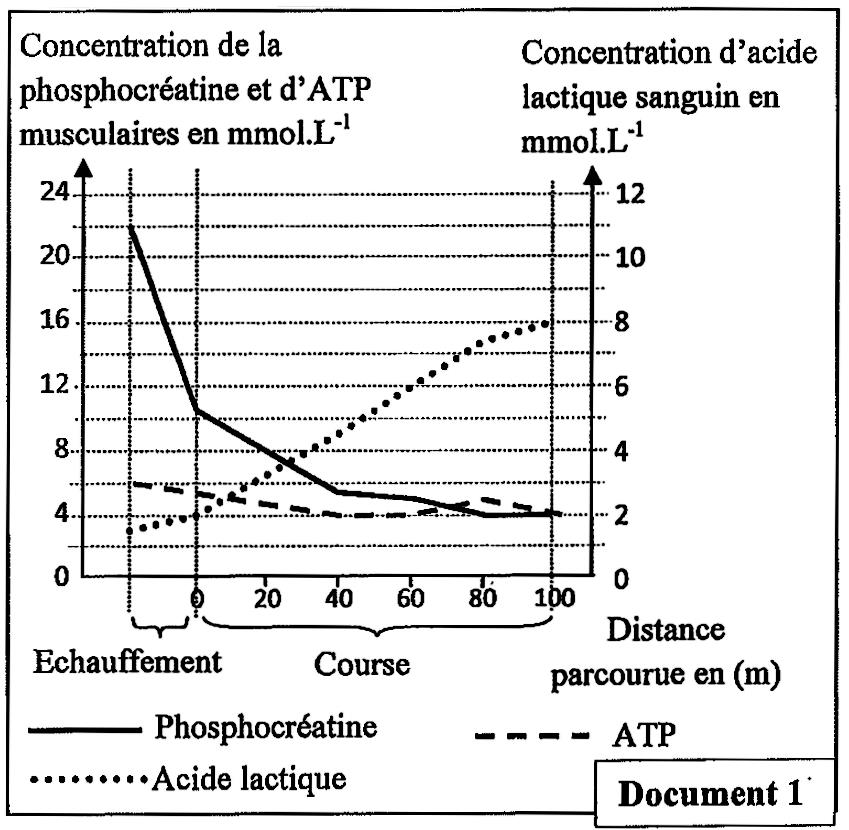 SVT exam