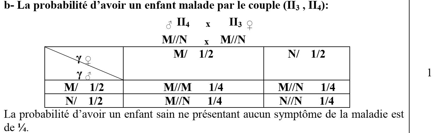 svt bac maroc