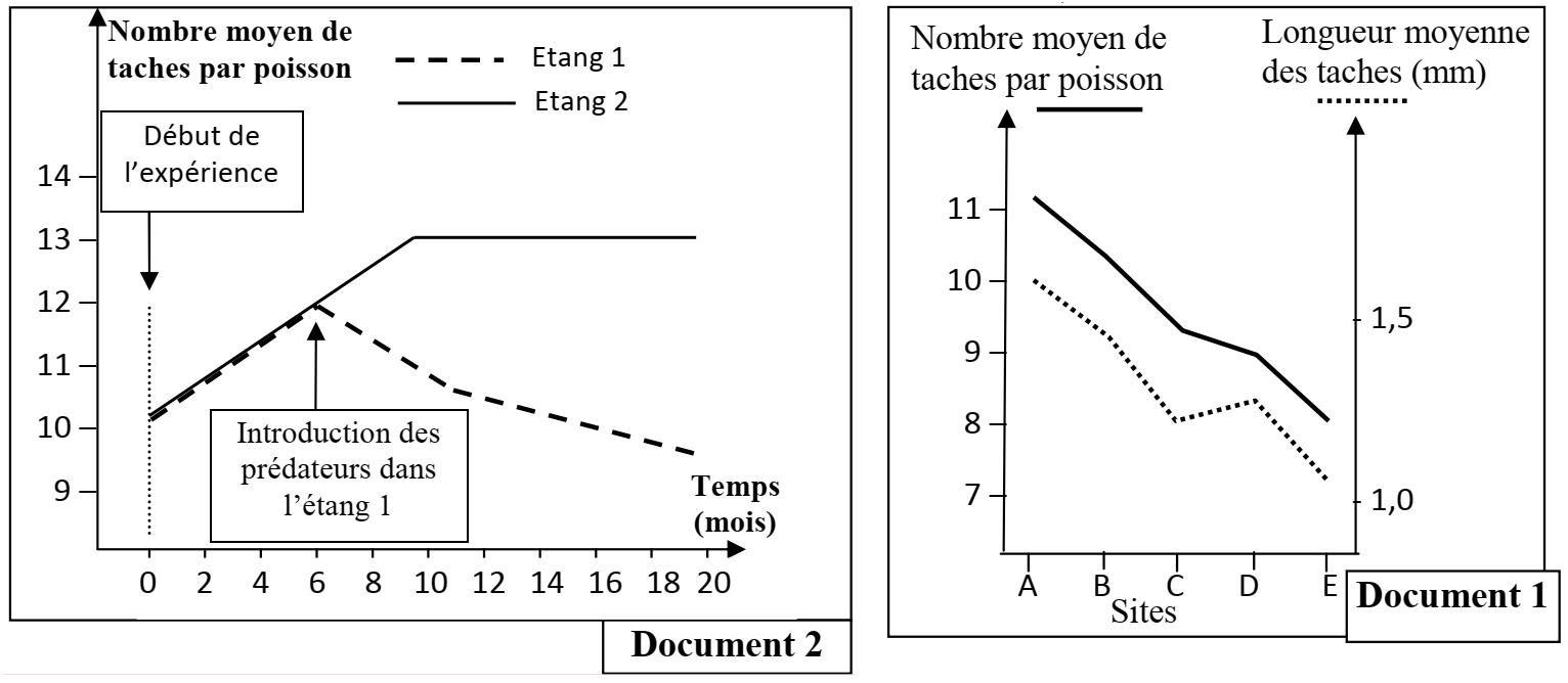 SVT exam
