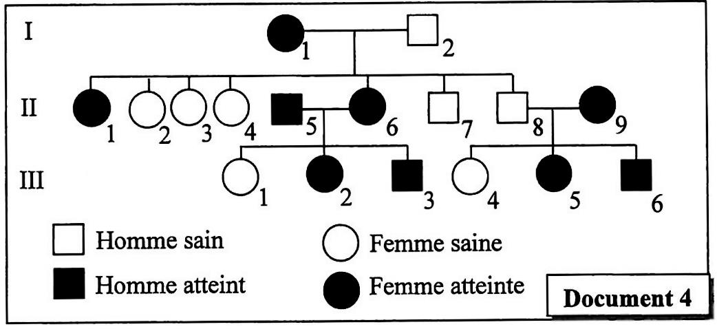 svt bac maroc