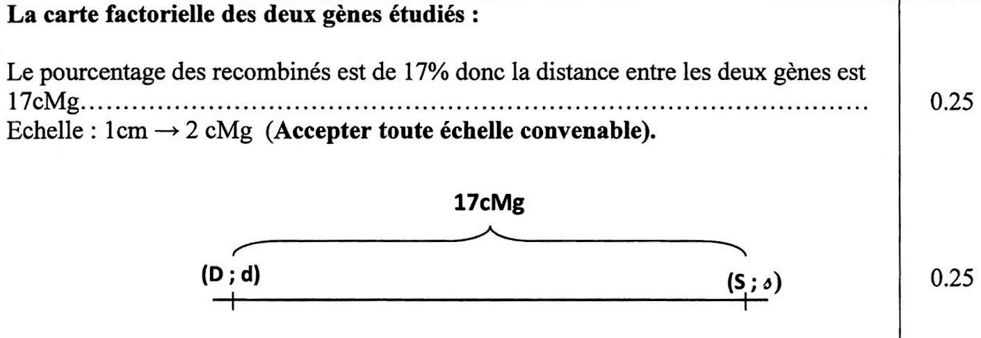 svt bac maroc