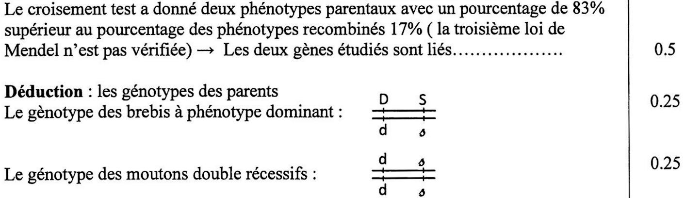 svt bac maroc