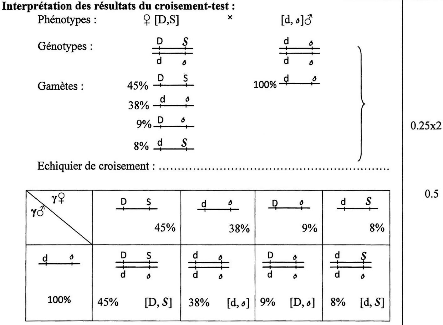 svt bac maroc