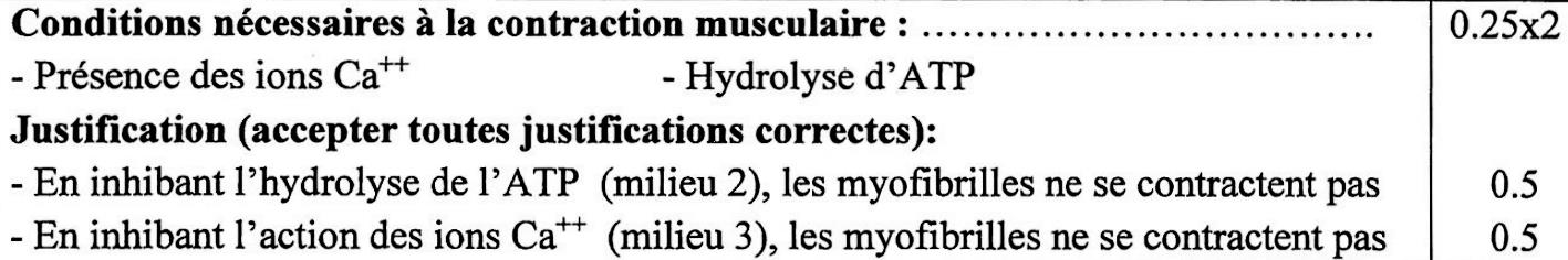 svt bac maroc