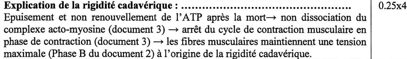 svt bac maroc