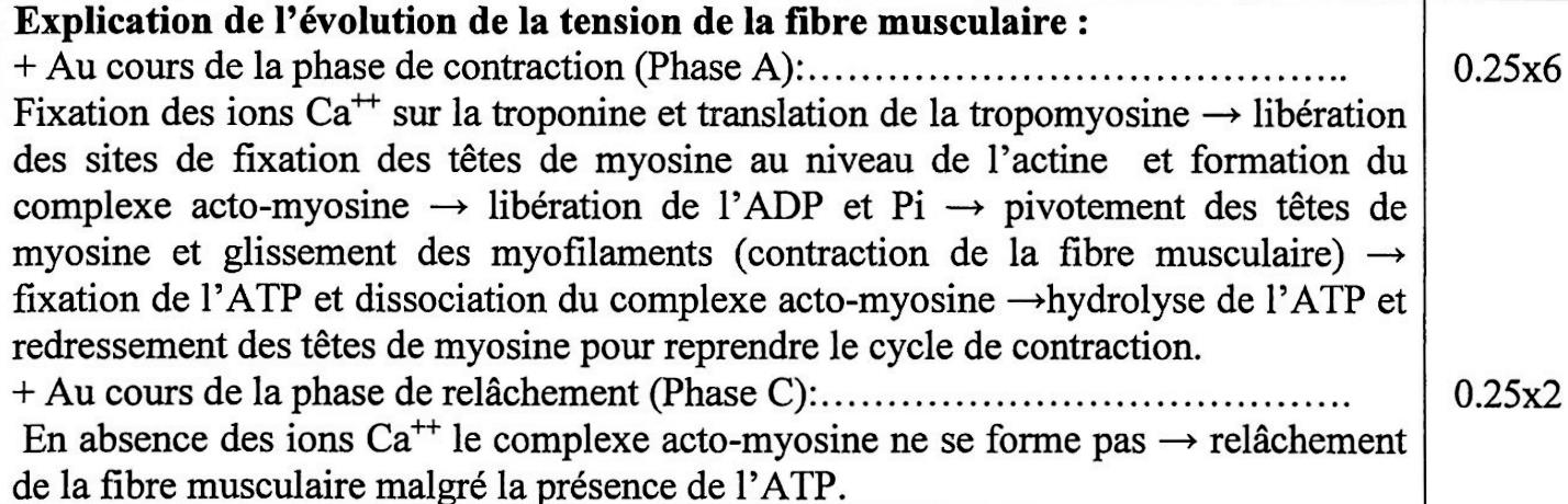 svt bac maroc