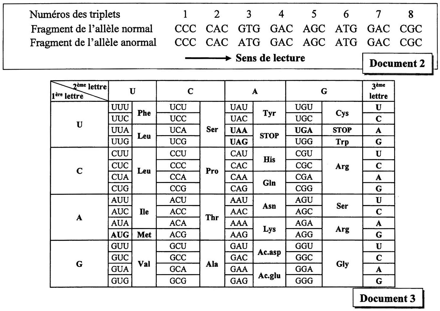 svt bac maroc