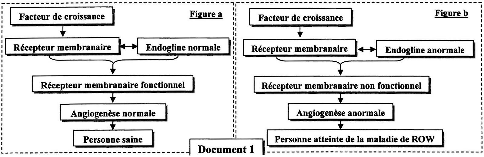 svt bac maroc