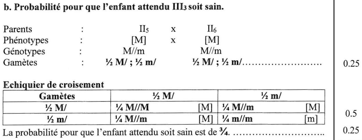 svt bac maroc