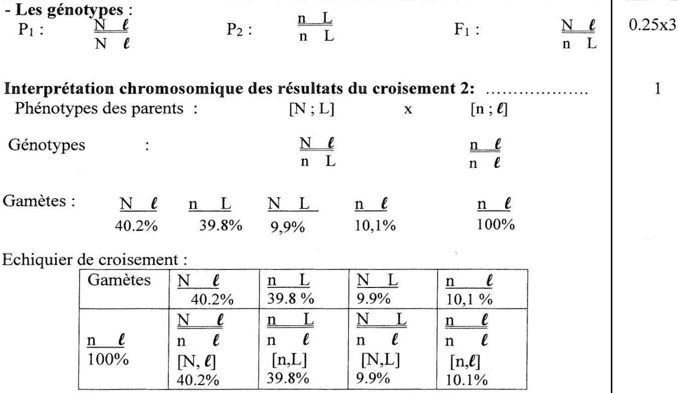 svt bac maroc