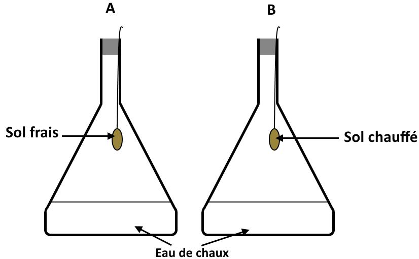 svt bac maroc