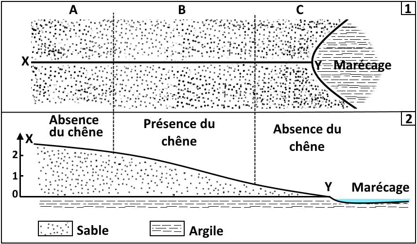 svt bac maroc